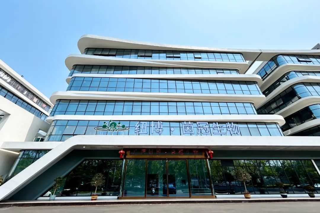 《茵冠携手神马文化，共筑生物科技展厅典范》｜干细胞科普馆